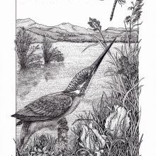 My project in Dip Pen and Ink Illustration: Capturing The Natural World course. Sketching, Drawing, Artistic Drawing, Sketchbook, Ink Illustration, and Naturalistic Illustration project by Suzanna Watkinson - 02.22.2022