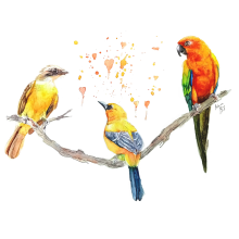 My project in Artistic Watercolor Techniques for Illustrating Birds course. Traditional illustration, Watercolor Painting, Realistic Drawing, and Naturalistic Illustration project by Adrián Rayón - 02.25.2022