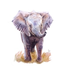 Watercolor painting of Elephant. Un proyecto de Ilustración tradicional, Pintura, Naming, Pintura a la acuarela y Dibujo artístico de Adrián Rayón - 02.03.2022