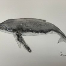 My project for course: Naturalist Illustration Techniques: Whales in Watercolor. Ilustração tradicional, Design de cartaz, Ilustração digital, e Mangá projeto de Cristina Nava - 11.03.2022