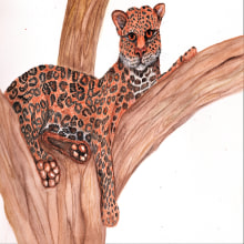jaguar. Un proyecto de Ilustración tradicional, Pintura a la acuarela, Dibujo realista e Ilustración naturalista				 de JOVI CÁRDENAS BENAVIDES - 06.05.2022