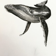 Il mio progetto del corso: Tecniche di illustrazione naturalistica: balene ad acquerello. Ilustração tradicional, Design de cartaz, Ilustração digital, e Mangá projeto de lusi - 01.06.2022