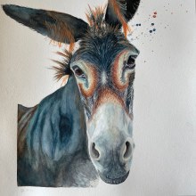 My project for course: Expressive Animal Portraits in Watercolor. Traditional illustration, Watercolor Painting, Realistic Drawing, and Naturalistic Illustration project by Hela Burkhardt - 06.13.2022