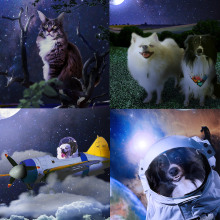 Colagem Animada - Dogs, Cat and Fantasy - Insta Reels. Un proyecto de Animación, Collage, Animación 2D y Edición de vídeo de Rodrigo Nagami - 08.06.2022