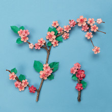SAKURA. Traditional illustration, Graphic Design, Paper Craft, Floral, and Plant Design project by Noelia Barreda - 05.30.2022