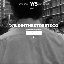 WildinthesStreets - Intro. Design, Graphic Design, Video Editing, CSS, and HTML project by Santiago Biosca - 06.20.2022