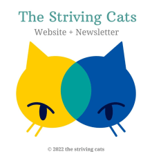 The Striving Cats: Website + Newsletter. Un proyecto de Educación, Multimedia, Desarrollo Web, Escritura, Creatividad, Stor, telling, Marketing de contenidos, Comunicación, Escritura creativa y Redacción de contenidos		 de Constanza Lobos - 29.06.2022
