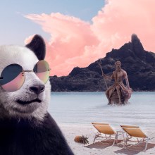 Panda curtindo o verão - Projeto final. Fotografia, Pós-produção fotográfica, VFX, Retoque fotográfico, Fotografia artística, Composição fotográfica, e Fotomontagem projeto de brunobortolatto - 13.07.2022