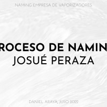 Naming: Tienda de Vaporizadores. Design, Advertising, Br, ing, Identit, Creative Consulting, Design Management, and Naming project by Daniel Araya - 07.22.2022