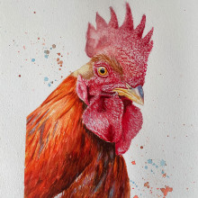 My project for course: Artistic Watercolor Techniques for Illustrating Birds. Un proyecto de Ilustración, Pintura a la acuarela, Dibujo realista e Ilustración naturalista				 de Hela Burkhardt - 28.07.2022