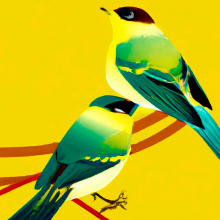 Las aves migratorias y su GPS genético. Un proyecto de Creatividad, Stor, telling y Guion de Arnau Capelleras Poveda - 14.08.2022