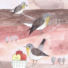 Birds Ein Projekt aus dem Bereich Traditionelle Illustration, Bleistiftzeichnung und Kinderillustration von Patrycja Findzińska - 26.09.2022