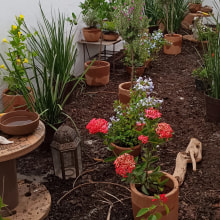 Mi proyecto del curso:  Jardín de polinizadores para mi terraza.. Un proyecto de Paisajismo, Diseño floral, vegetal, Diseño de espacios, Lifest y le de Rosalba Thomas - 01.09.2022