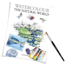 Watercolour the Natural World. Traditional illustration, Education, Watercolor Painting, Realistic Drawing, Artistic Drawing, Botanical Illustration, Sketchbook, Ink Illustration, Naturalistic Illustration, Floral, Plant Design, and Non-Fiction Writing project by Tim Pond - 04.01.2022