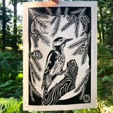 Great Spotted Woodpecker: Lino print (26 x 38cm). Un proyecto de Ilustración tradicional, Artesanía, Bellas Artes y Estampación de Yasna Dolezal - 11.09.2022