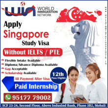  Study Visa and Best Immigration Consultant in Mohali - WorldImmigration. Education, and Collage project by WorldImmigration Network - 09.14.2022