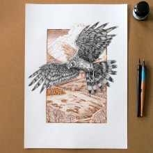 Hen Harrier - Dip pen and ink drawing . Een project van Traditionele illustratie y Craft van Philip Harris - 20.06.2022