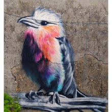 Mi proyecto del curso: Iniciación a la pintura con spray. Traditional illustration, Fine Arts, Painting, and Street Art project by Sara de Corio - 09.28.2022