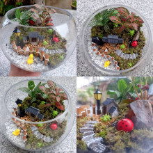 My project for course: Plant Art: Create Your Own Open Terrarium . Interior Design, L, scape Architecture, Decoration, DIY, Floral, Plant Design, Lifest, and le project by Kath Seah - 10.13.2022