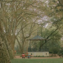A walk in the Park. Un proyecto de Fotografía de Margarida da Mota - 14.10.2022