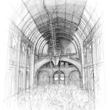 The Natural History Museum, London. Architecture, Fine Arts, Artistic Drawing & Ink Illustration project by Luke Adam Hawker - 10.23.2022