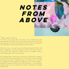 Notes From Above. Graphic Design, Web Design, Writing, and Collage project by Shelley - 11.01.2022