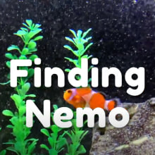 Live Action Finding Nemo Title Sequence. Un proyecto de Motion Graphics, Cine, vídeo, televisión, Animación, Diseño de títulos de crédito y Diseño gráfico de juliana.cianciotto - 02.12.2020