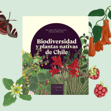 Libro Biodiversidad y plantas nativas de Chile. Traditional illustration, and Editorial Design project by Patricio Roco Urrutia - 11.07.2022