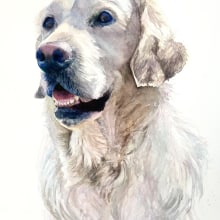 Watercolour painting of a Golden Retriever. Watercolor Painting project by Sarah Stokes - 11.27.2022