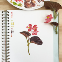 Sketchbook Botanicals . Un proyecto de Ilustración tradicional, Pintura a la acuarela e Ilustración botánica de Georgina Taylor - 07.12.2022