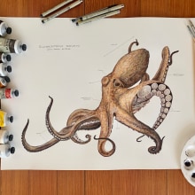 Octopus Field Journal . Painting project by Joe Shook - 12.20.2022