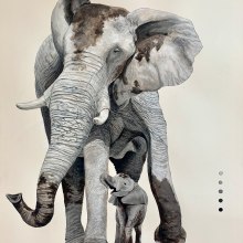 African Elephant Field Journal. Painting project by Joe Shook - 12.20.2022