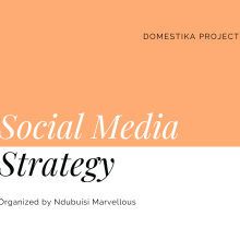 My project for course:  Social Media Strategy: Design, Manage, and Launch Campaigns. Marketing, Social Media, Digital Marketing, Content Marketing, Facebook Marketing, Communication, Instagram Marketing, and Growth Marketing project by Marvellous Ndubuisi - 12.29.2022