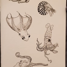 My project for course: Creative Drawing Techniques for Beginners. Un proyecto de Diseño, Ilustración tradicional, Dibujo a lápiz y Dibujo de Sarah Mayo - 05.01.2023