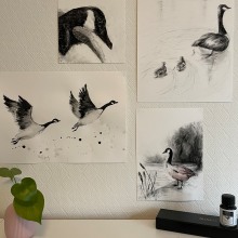 My project for course: Animal Illustration with Charcoal and Ink. Un proyecto de Dibujo, Ilustración con tinta e Ilustración naturalista				 de Mara Ionescu - 08.01.2023