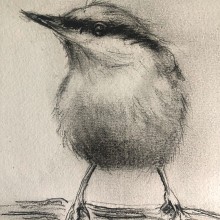 My project for course: Artistic Watercolor Techniques for Illustrating Birds. Un proyecto de Ilustración tradicional, Pintura a la acuarela, Dibujo realista e Ilustración naturalista				 de Margaret Betts - 14.01.2023