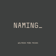Mi proyecto del curso: Naming de mi emprendimiento . Advertising, Br, ing, Identit, Creative Consulting, Design Management, and Naming project by wilfredo peña pachas - 01.19.2023