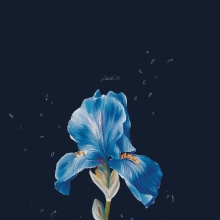 Flowers. Un proyecto de Ilustración tradicional, Ilustración digital e Ilustración botánica de Paola Giuntini - 01.01.2023
