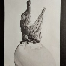 My project for course: Naturalistic Animal Drawing with Graphite Pencil. Un proyecto de Ilustración tradicional, Dibujo a lápiz, Dibujo e Ilustración naturalista				 de Kristína Bujnovská - 15.01.2023
