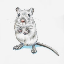 Animal Illustrations: Markers and Pen. Un proyecto de Ilustración tradicional de Alanie Botha-Austin - 28.01.2023