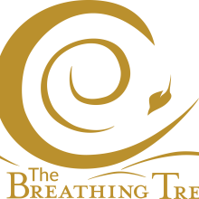 The Breathing Tree Branding. Design, Advertising, Br, ing, Identit, Creative Consulting, Graphic Design, T, pograph, Signage Design, Logo Design, and Business project by Pattie McNab - 02.12.2023