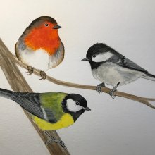 My project for course: Artistic Watercolor Techniques for Illustrating Birds. Ilustração tradicional, Pintura em aquarela, Desenho realista e Ilustração naturalista projeto de Janet Whitmore - 15.02.2023