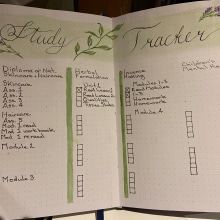 My project for course: Bullet Journaling: Illustrated Planning. Arts, Crafts, Watercolor Painting, DIY, Management, Productivit, and Business project by Kate Tully - 02.20.2023