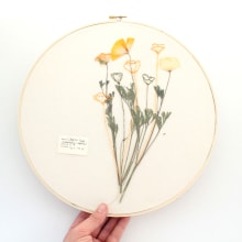 Pressed Plant Embroidery. Embroider project by Anna Hultin - 03.26.2023