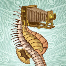Hippocampus Camerarum. Ilustração tradicional, Colagem e Ilustração digital projeto de Pepetto - 22.06.2015