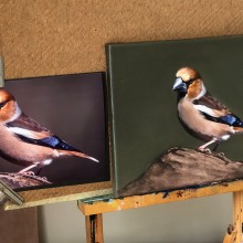 My project for course: Classical Oil Painting for Naturalist Bird Portraiture. Un proyecto de Bellas Artes, Pintura, Pintura al óleo e Ilustración naturalista				 de Janine Joles - 31.01.2023