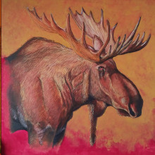 Ant, Moose. Traditional illustration, Fine Arts, Pencil Drawing, Drawing, and Artistic Drawing project by El Culmadu - 04.16.2023
