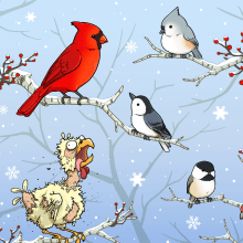 Winter Birds. Traditional illustration, Digital Illustration, Graphic Humor, Digital Painting, Stationer, and Design project by Robin Sevakis - 04.20.2023