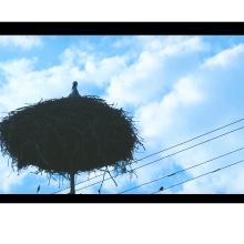 My project for course: Temporary Structures (1) - The stork's nest. Film, Video, TV, Video, Filmmaking, and Audiovisual Post-production project by ahmednasr92 - 04.16.2023