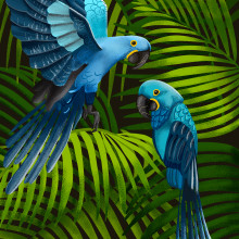 Il mio progetto del corso: Colorful birds. Ilustração digital, Desenho digital e Ilustração editorial projeto de Claudia - 06.05.2023